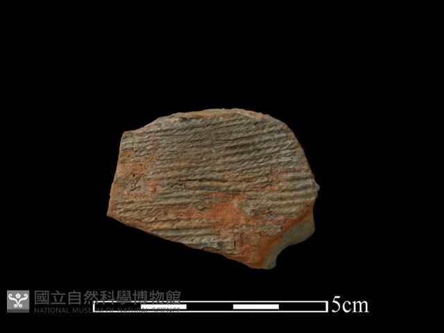 陶片藏品圖，第1張