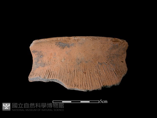 陶罐藏品圖，第1張