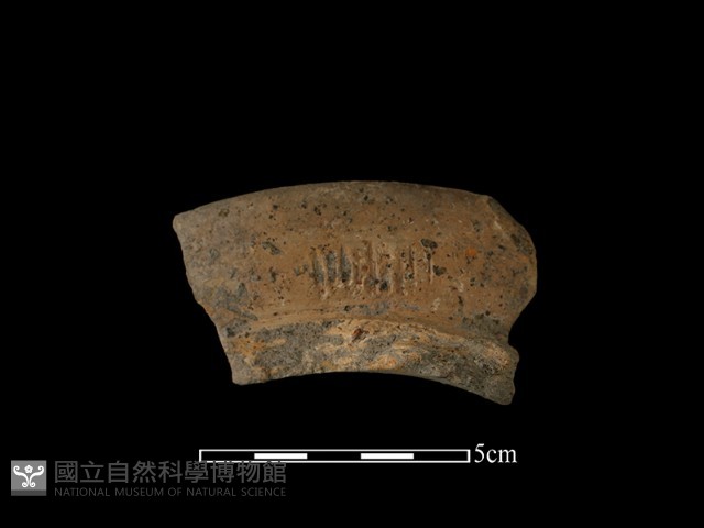 陶罐藏品圖，第1張