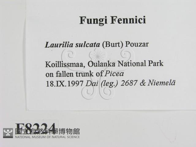 登錄號:F0008224藏品圖，第2張