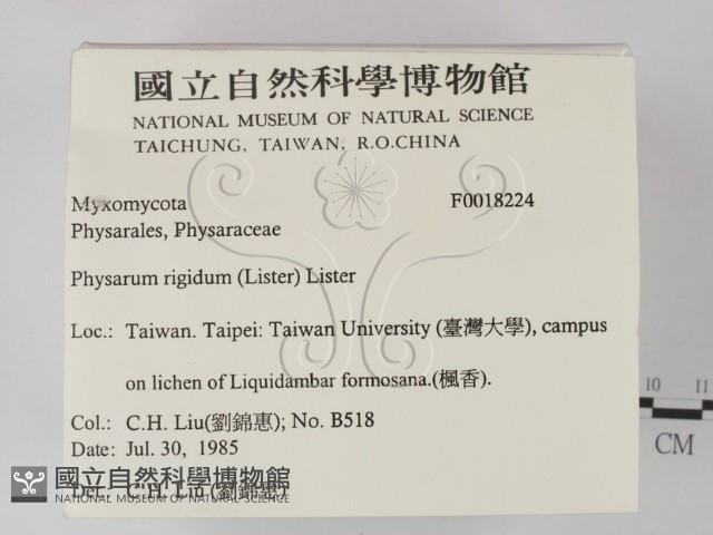 登錄號:F0018224藏品圖，第2張