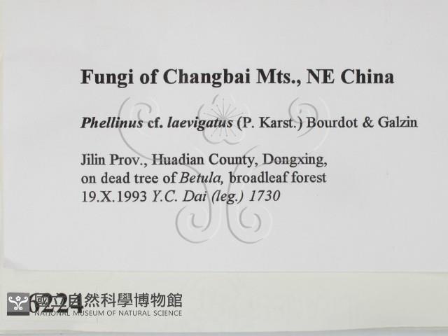 登錄號:F0006224藏品圖，第2張