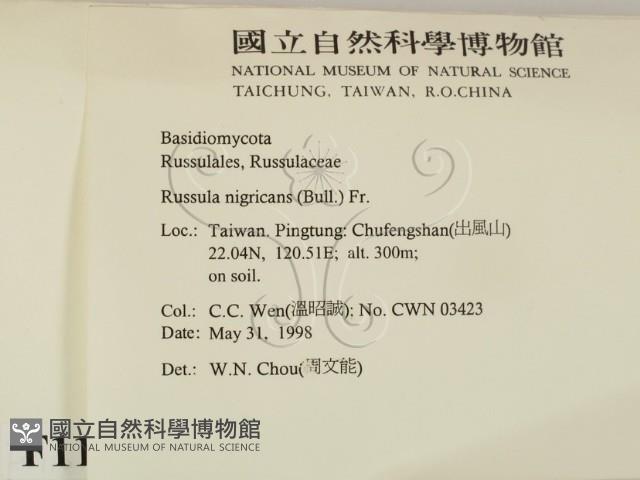 登錄號:F0011224藏品圖，第2張