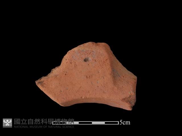 連杯形器藏品圖，第2張