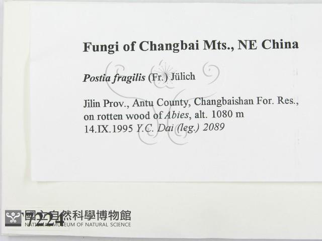 登錄號:F0007224藏品圖，第2張