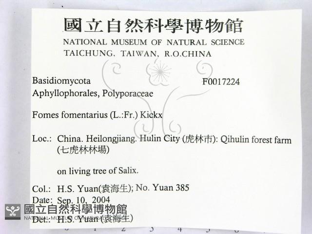 登錄號:F0017224藏品圖，第2張
