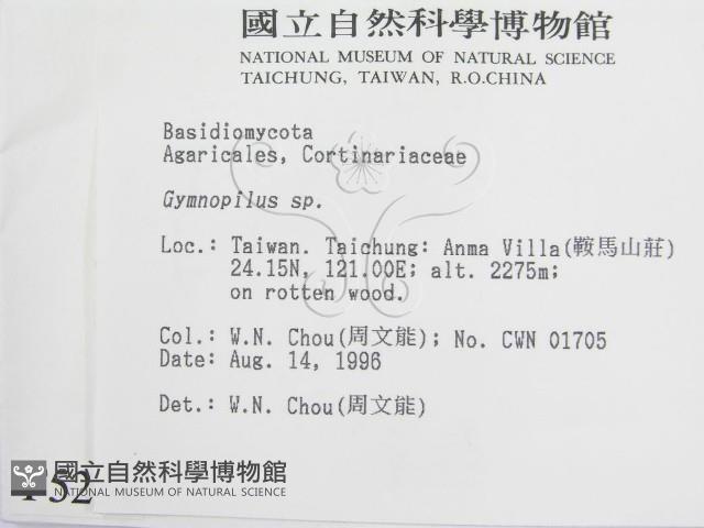 登錄號:F0005224藏品圖，第2張