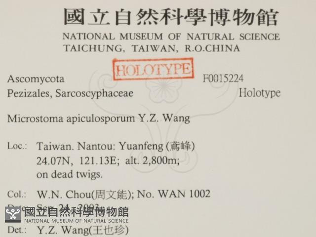 登錄號:F0015224藏品圖，第2張