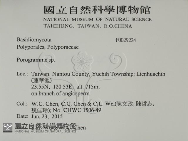 登錄號:F0029224藏品圖，第2張