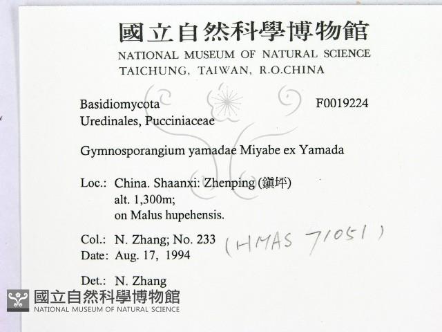 登錄號:F0019224藏品圖，第2張