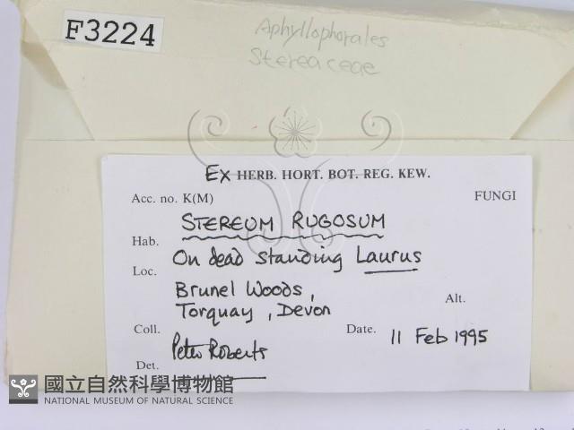 登錄號:F0003224藏品圖，第2張