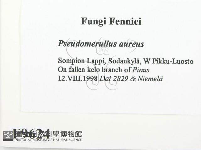 登錄號:F0009624藏品圖，第2張