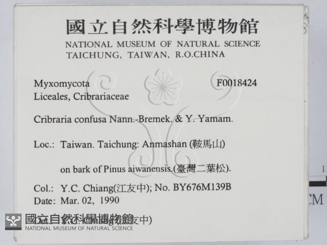 登錄號:F0018424藏品圖，第2張