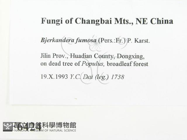 登錄號:F0006424藏品圖，第2張