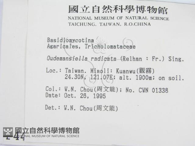 登錄號:F0004424藏品圖，第2張