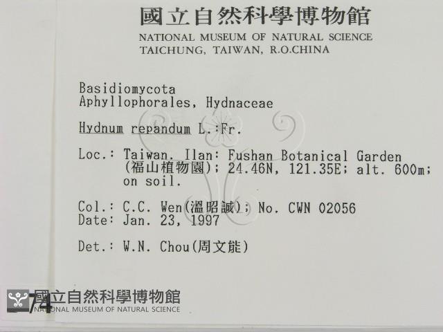 登錄號:F0007424藏品圖，第2張