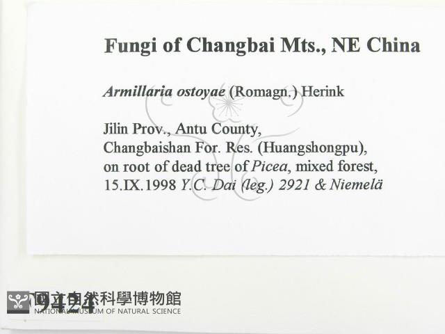 登錄號:F0009424藏品圖，第2張