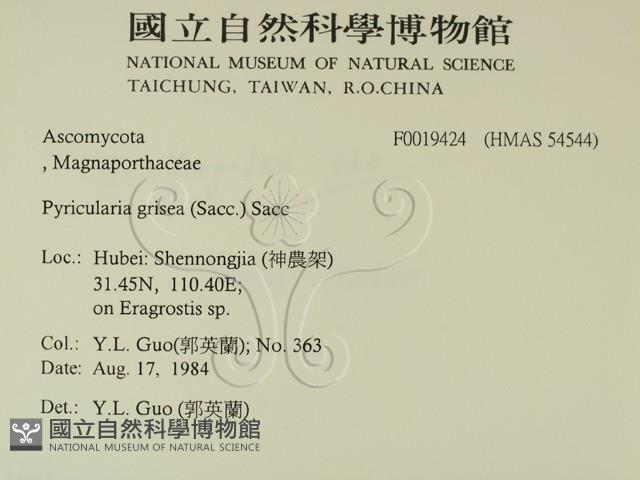 登錄號:F0019424藏品圖，第2張