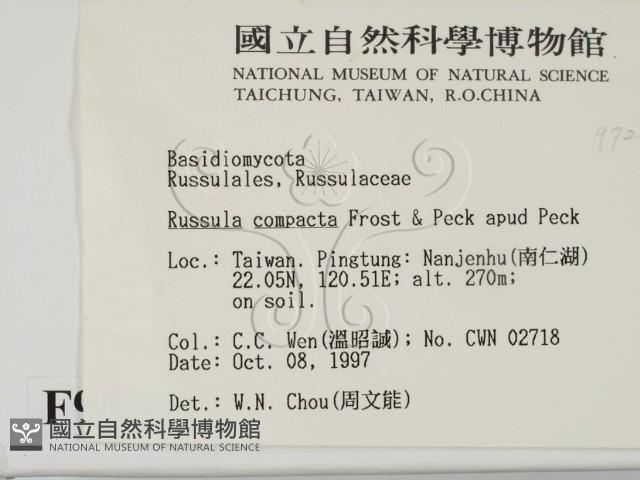 登錄號:F0009724藏品圖，第2張