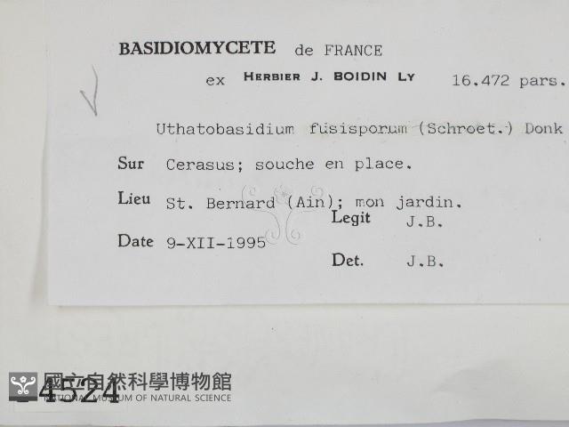 登錄號:F0004524藏品圖，第2張