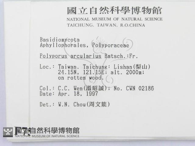 登錄號:F0007524藏品圖，第2張