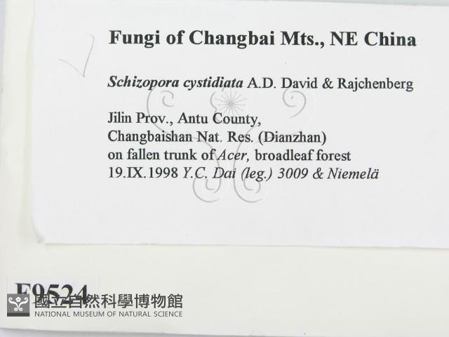 登錄號:F0009524藏品圖，第2張