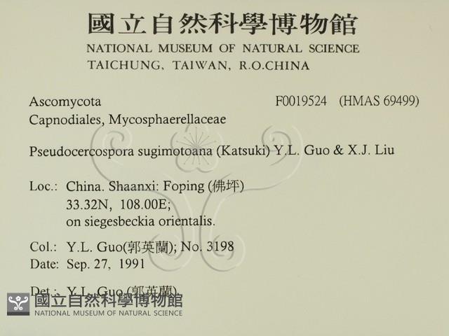 登錄號:F0019524藏品圖，第2張