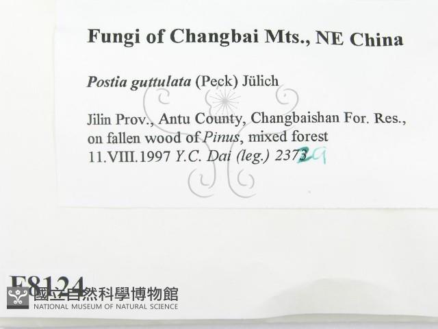 登錄號:F0008124藏品圖，第2張