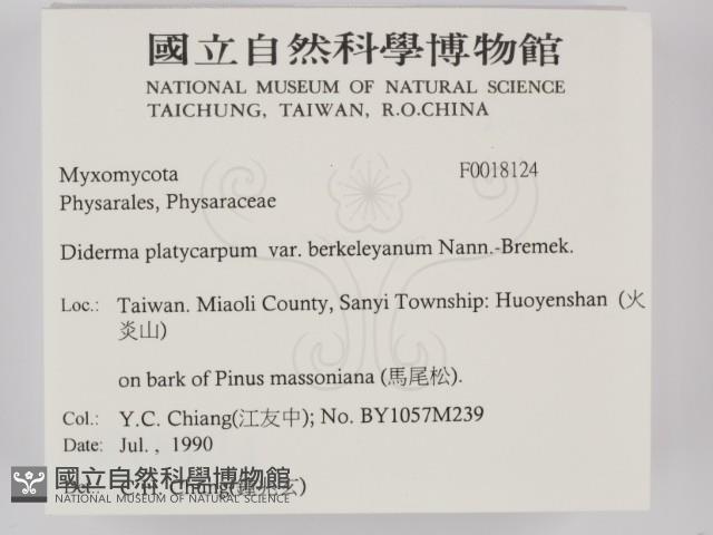 登錄號:F0018124藏品圖，第2張