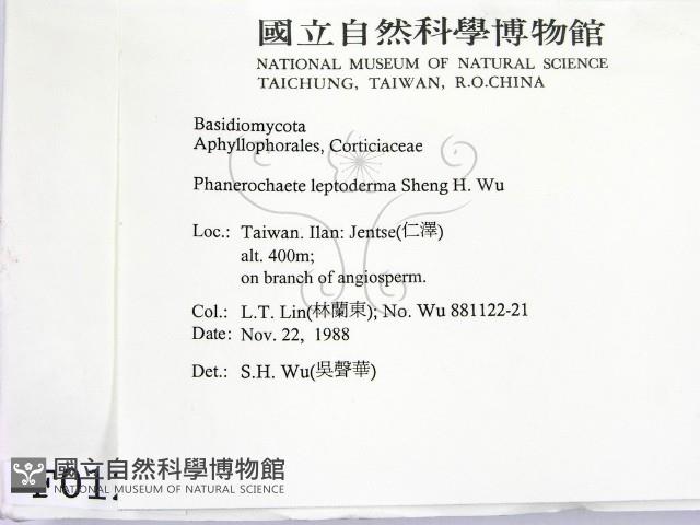 登錄號:F0000124藏品圖，第2張