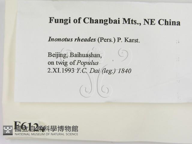 登錄號:F0006124藏品圖，第2張