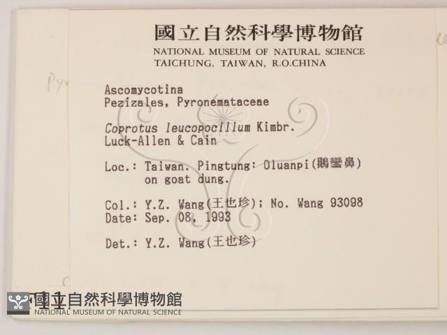 登錄號:F0001124藏品圖，第2張