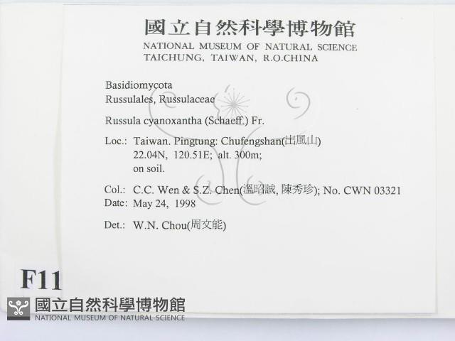 登錄號:F0011124藏品圖，第2張