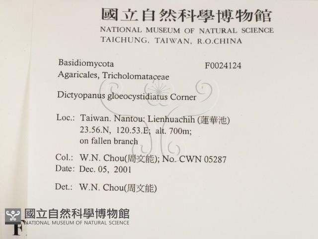 登錄號:F0024124藏品圖，第2張