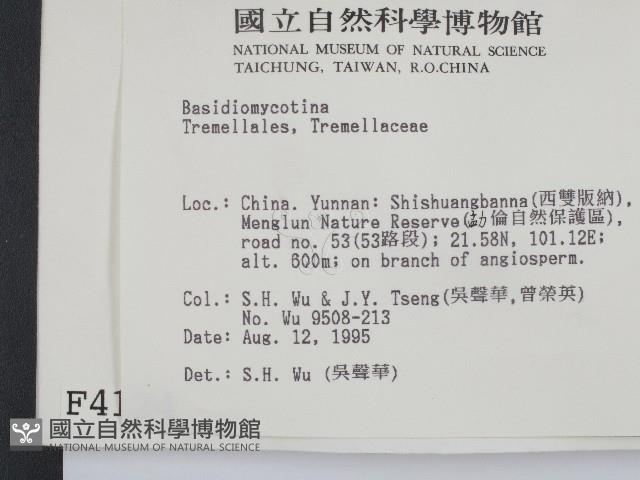 登錄號:F0004124藏品圖，第2張