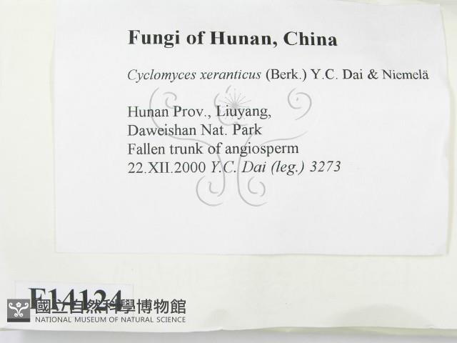 登錄號:F0014124藏品圖，第2張