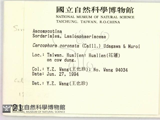 登錄號:F0002124藏品圖，第2張