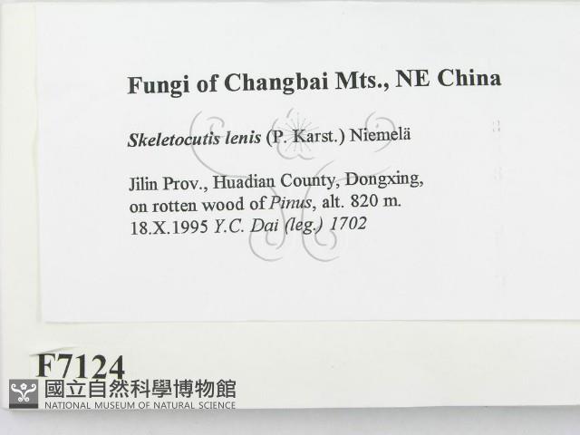 登錄號:F0007124藏品圖，第2張