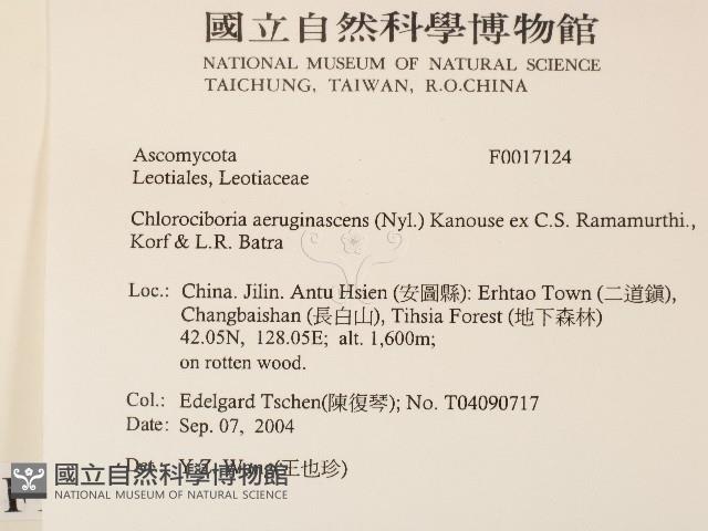 登錄號:F0017124藏品圖，第2張