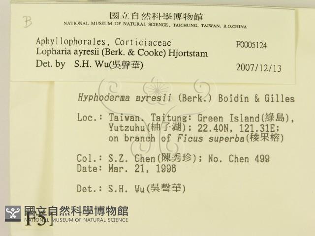 登錄號:F0005124藏品圖，第2張