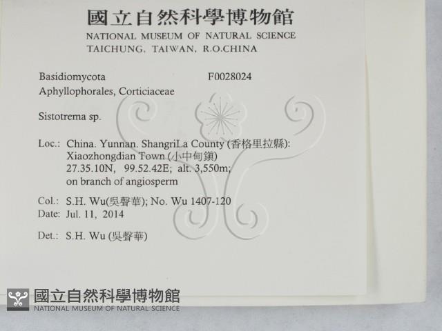 登錄號:F0028024藏品圖，第2張