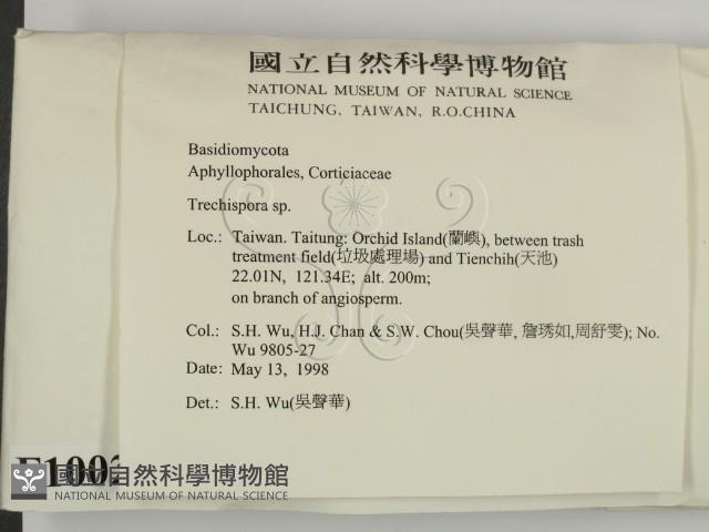 登錄號:F0010024藏品圖，第2張