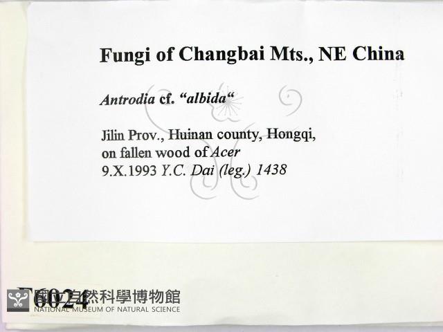 登錄號:F0006024藏品圖，第2張