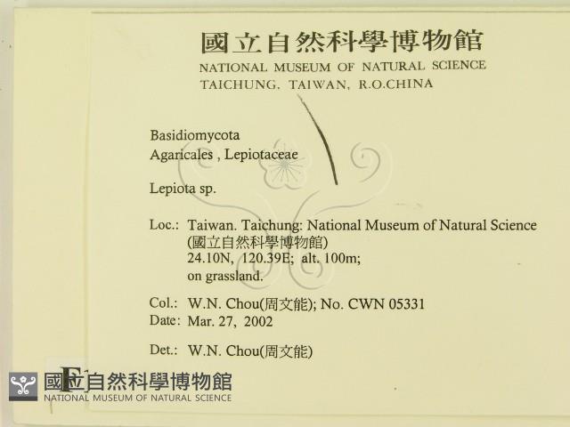 登錄號:F0016024藏品圖，第2張