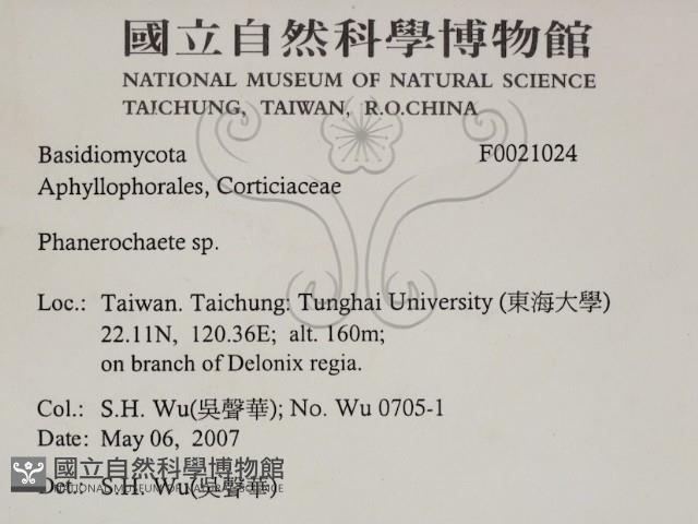 登錄號:F0021024藏品圖，第2張
