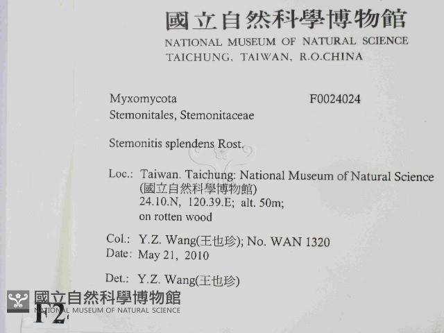 登錄號:F0024024藏品圖，第2張