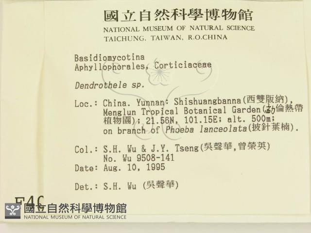 登錄號:F0004024藏品圖，第2張