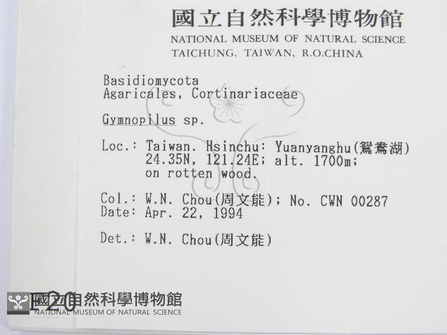 登錄號:F0002024藏品圖，第2張