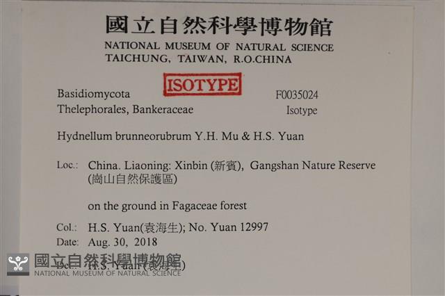 登錄號:F0035024藏品圖，第2張