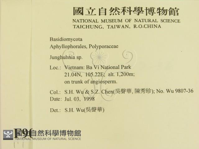 容氏菌屬藏品圖，第2張